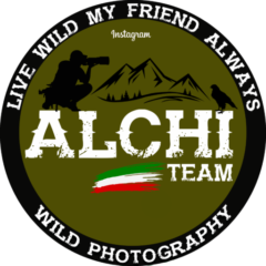 ProgettoALCHI TEAM