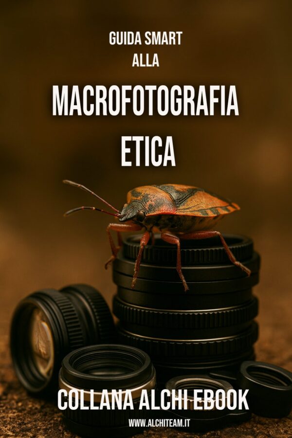 Macrofotografia Etica – Esplora il microcosmo con rispetto